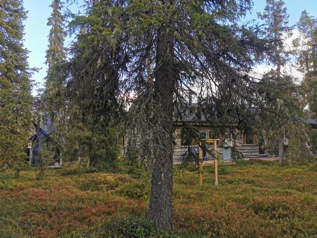 Ruka Inn ภายนอก รูปภาพ
